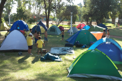 Colonia-3