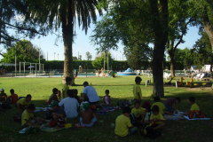 Colonia-8